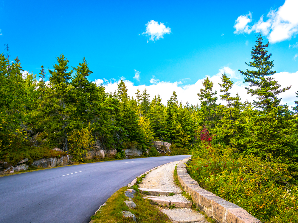 Park Loop Road through forest in Acadia National Park, Maine