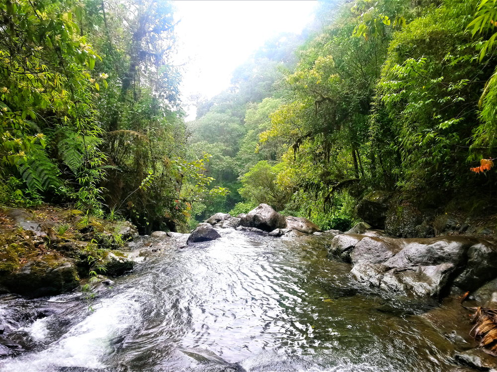 Waterfall in the jungle wilderness of the Darién Gap between Panama and Colombia