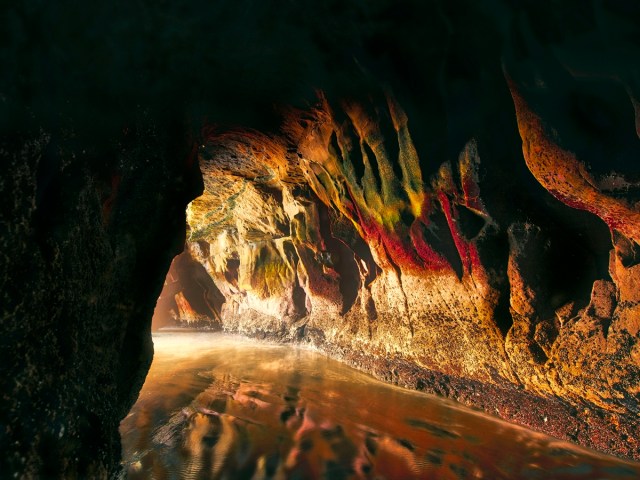 Underground lava caves near Auckland, New Zealand