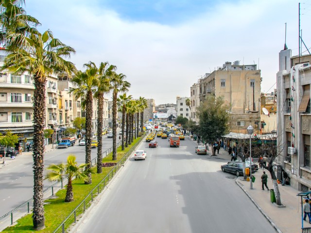 City street divided by row of palm trees