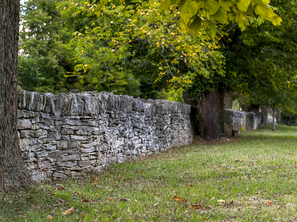 Stone wall under shade of trees in Kentucky