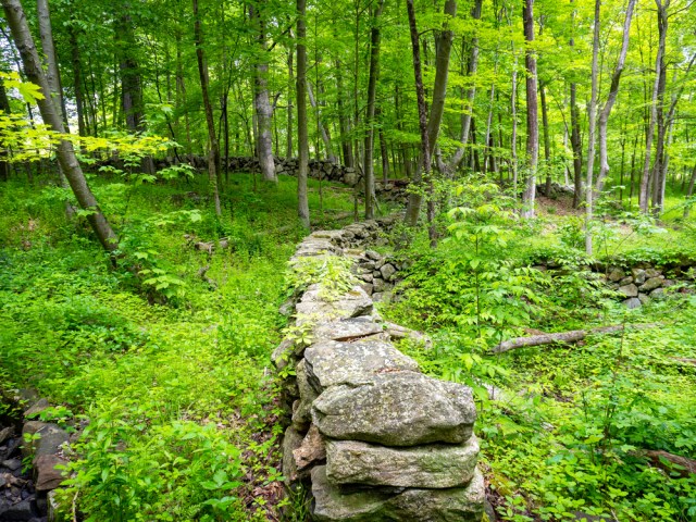 The Fascinating History of New England’s Stone Walls