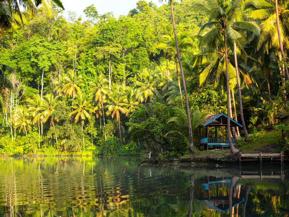 Dense tropical foliage surrounding Paisu Pok Lake in Indonesia