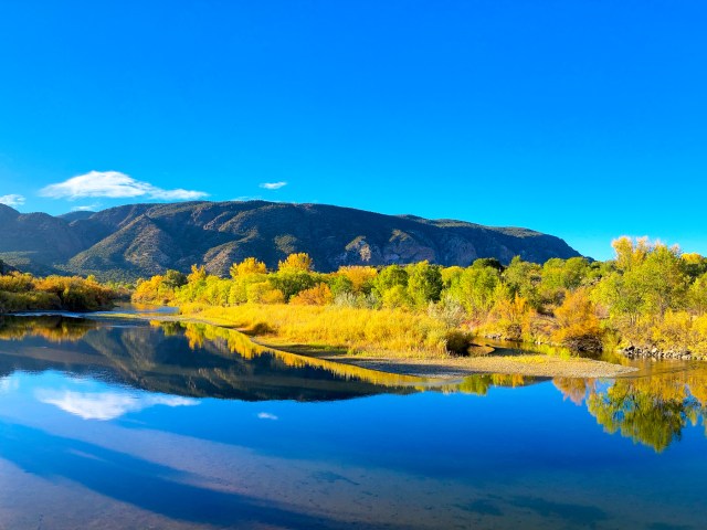 Sunlit Rio Grande River near Taos, Mexico, lined with fall foliage