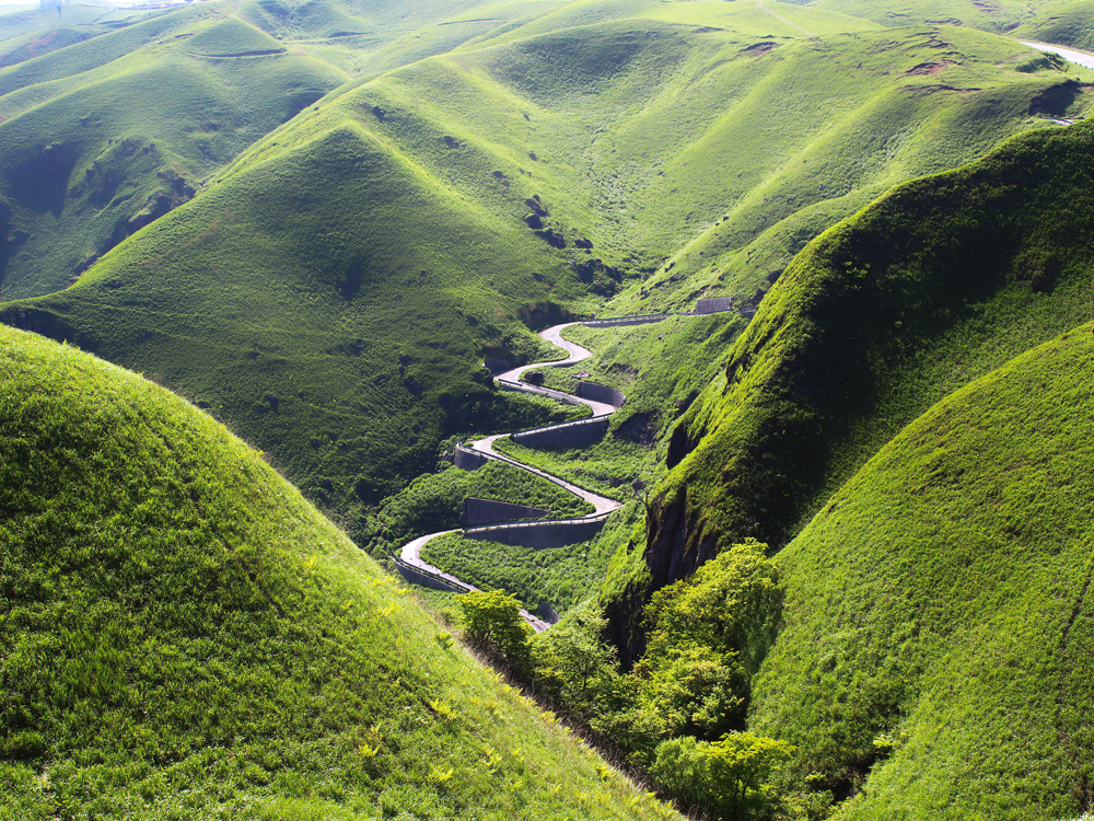 Road winding through lush green valley in Japan, seen from above