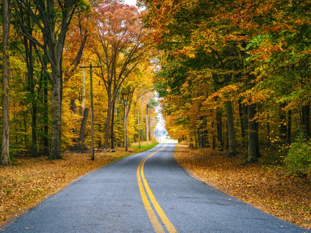 Empty two-lane highway through red and orange trees in Maryland's Eastern Shore