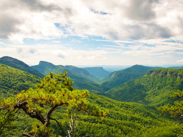 Overlook of Linville Gorge in North Carolina