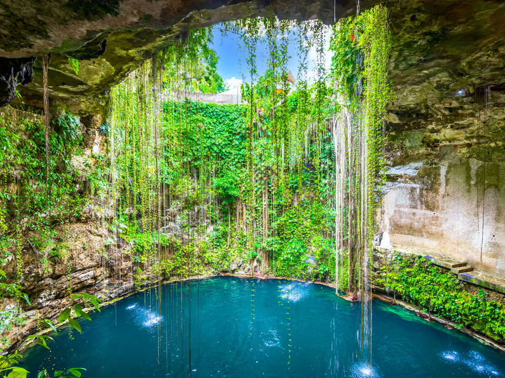 View inside Cenote Ik Kil in Mexico, with vines hanging above water in open-air cavern