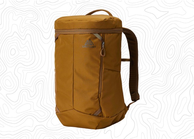 Image of brown travel packpack