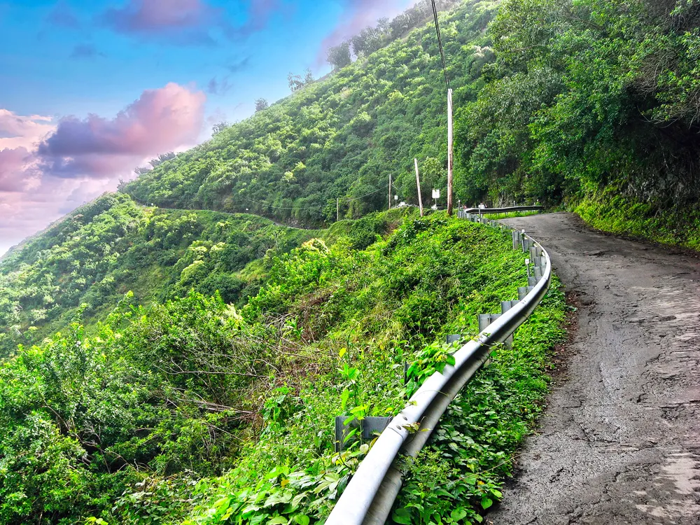 Road hugging lush cliffside in Hawaii