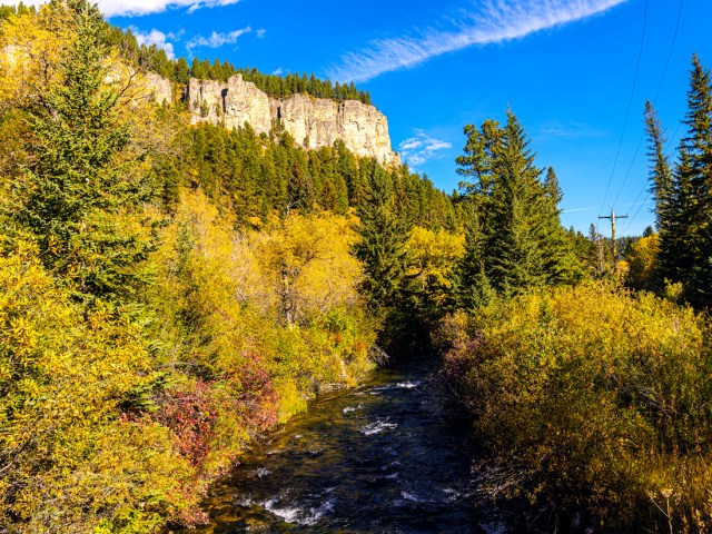 Fall foliage in the Black Hills of South Dakota