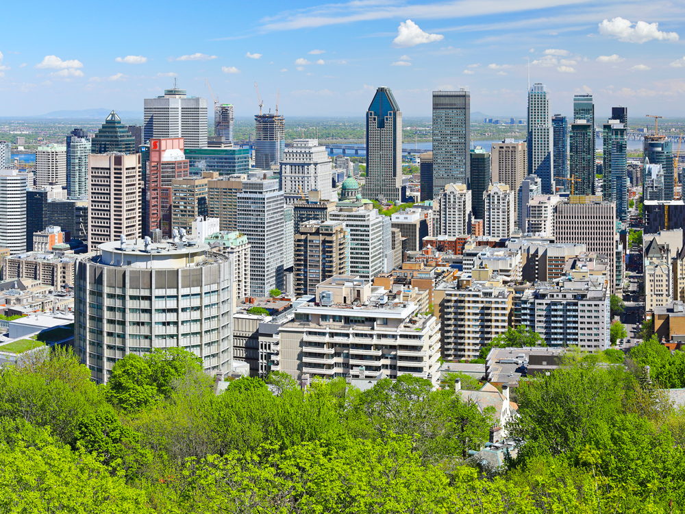 View of Montreal skyline from Mount Royal