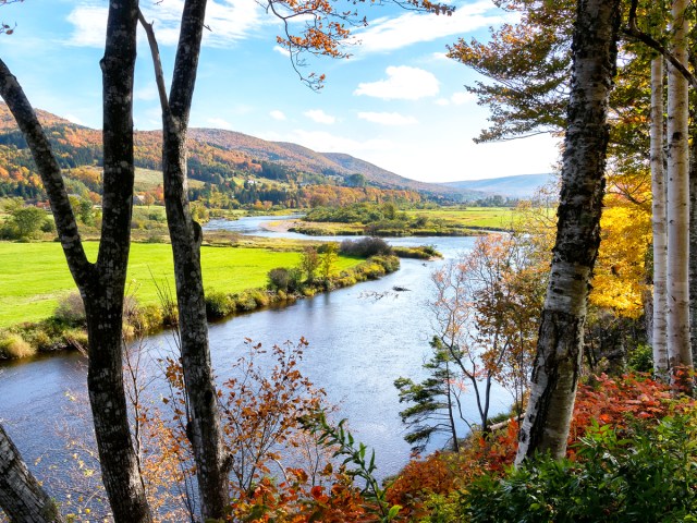 Scenery of Cape Breton Island in Nova Scotia, seen through trees