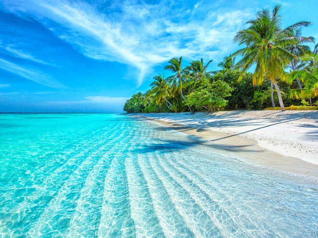 Clear turquoise waters along sandy palm tree-lined beach in the Maldives