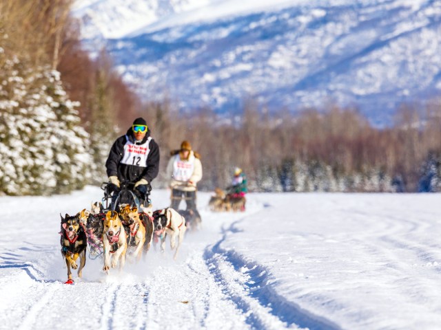 Dog sledding team running across snowy landscape near Anchorage, Alaska