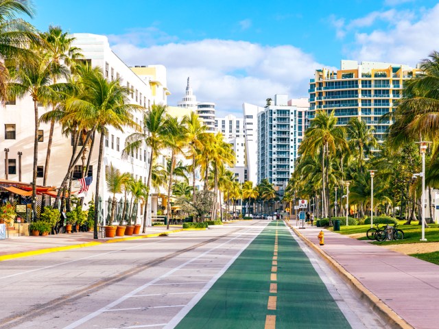 Empty street lined with palm trees in Miami, Florida