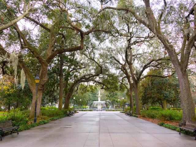 Spanish moss trees draped over path leading to fountain in Savannah, Georgia