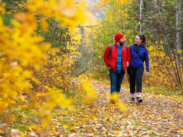 Two hikers walking through fall foliage near Anchorage, Alaska