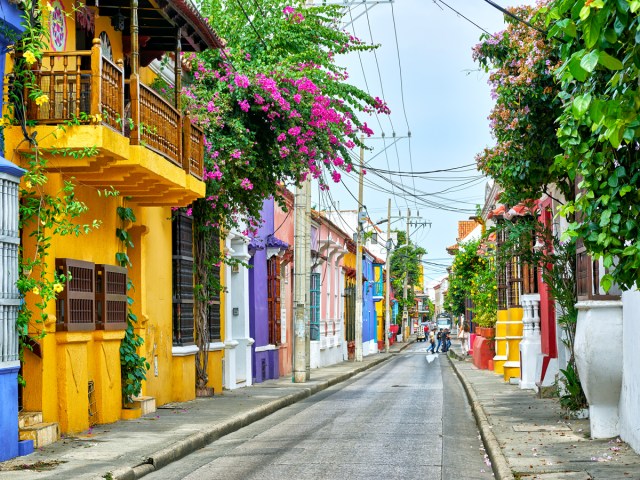 Flowers blooming on residential street in Cartagena, Colombia