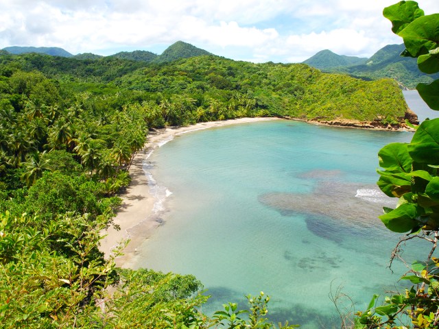 Bay surrounded by lush tropical foliage in Dominica