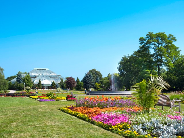 Colorful flowers at the Lincoln Park Conservancy and Gardens in Chicago, Illinois