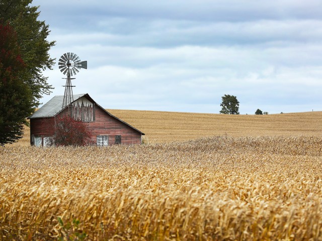 Farmhouse and cornfield in Newton, Iowa