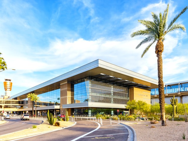 Palm tree outside of terminal building at Phoenix Sky Harbor International Airport in Arizona