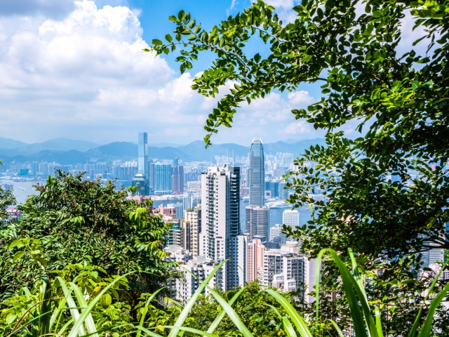 Cityscape of Hong Kong seen from mountaintop between trees