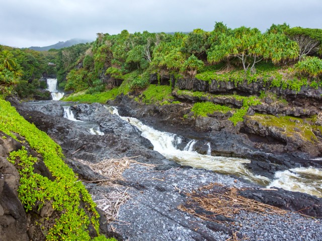 These Are the Wettest Places on Earth — Daily Passport