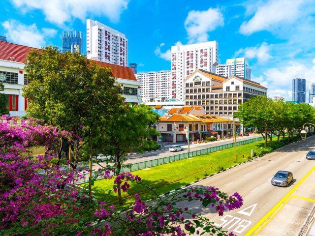 Street framed by flowers in Singapore