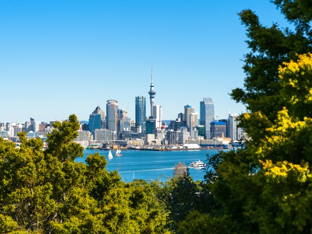 Skyline of Auckland, New Zealand, seen from across harbor and framed by trees