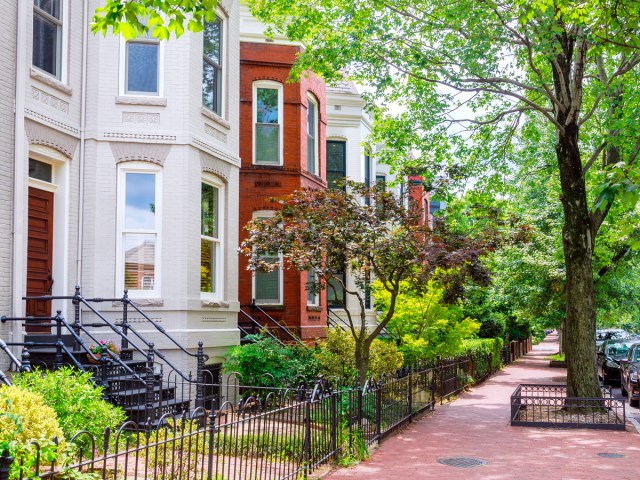 Historic row homes on tree-lined street in Washington, D.C.