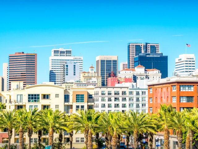 Palm trees in front of high-rises in downtown San Diego, California