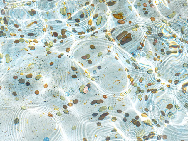 Close-up view of coins at the bottom of Rome's Trevi Fountain