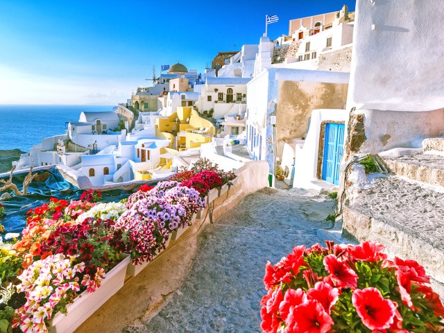 Flowers and traditional white Greek homes overlooking the sea on the island of Santorini