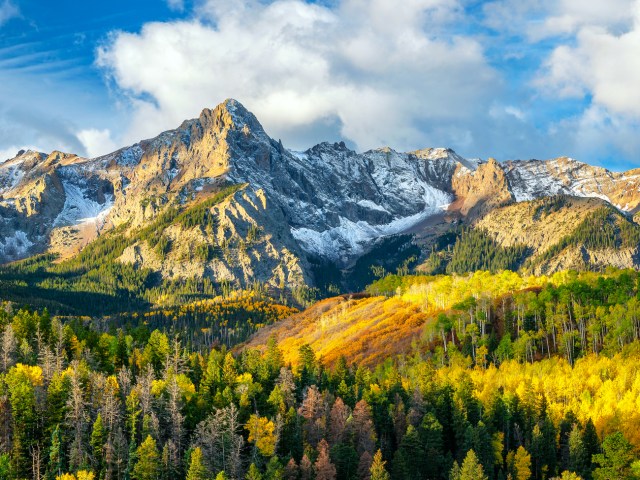 Snow-capped peaks and deciduous trees in the Rocky Mountains