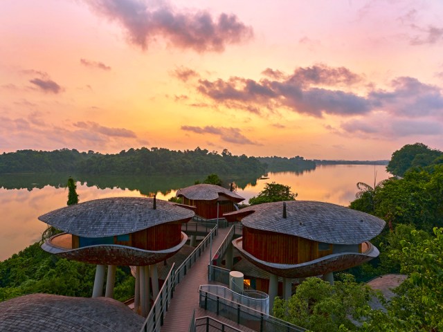 Treehouse accommodations at Mandai Rainforest Resort in Singapore