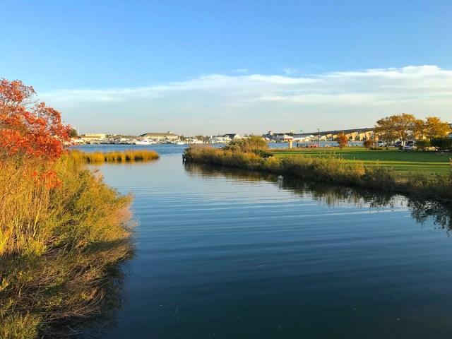 Coastal waters of the Chesapeake Bay