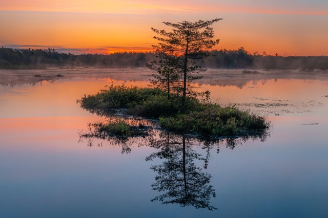 Sunset in New Jersey's Pinelands National Reserve