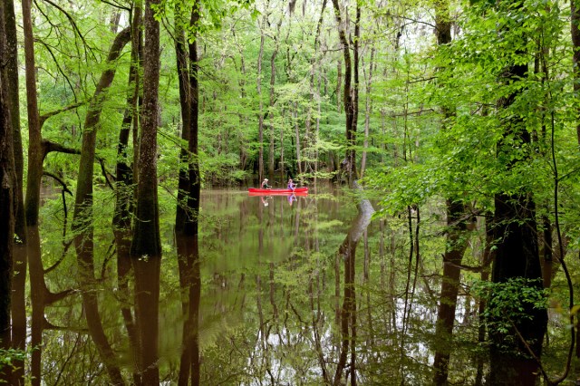 Canoe riders in Congaree National Park, South Carolina