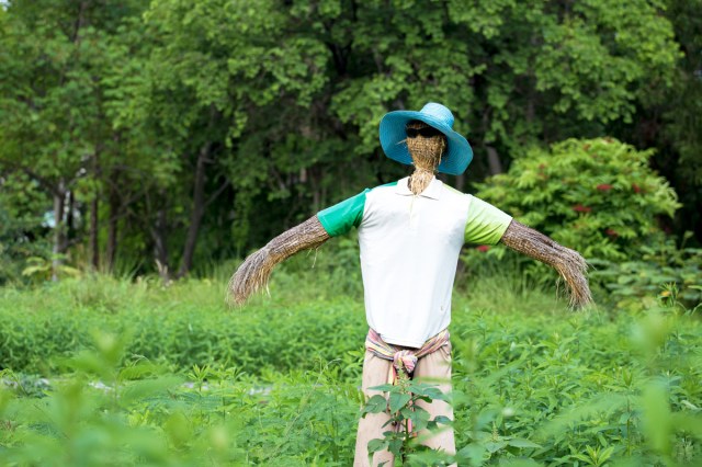 Straw figure used for Uruguay new year celebrations