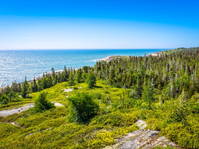 Forest landscape along the St. Lawrence River, Canada