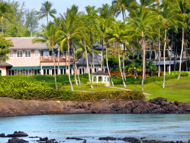 Homes and palm trees beside ocean in Hawaii