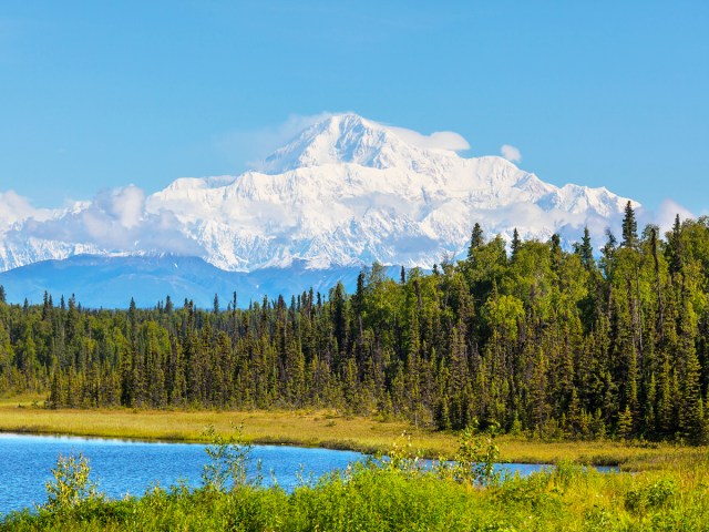 Lake, forest, and snow-capped Denali peak in Alaska's Denali National Park