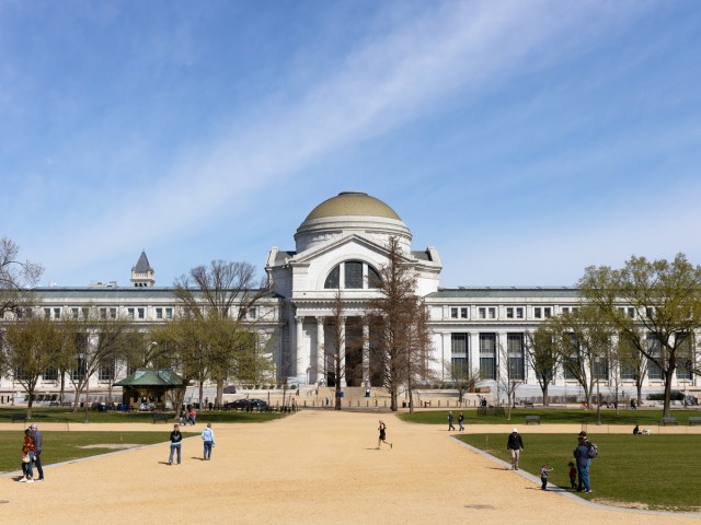 Pedestrians in park facing the National Museum of Natural History 