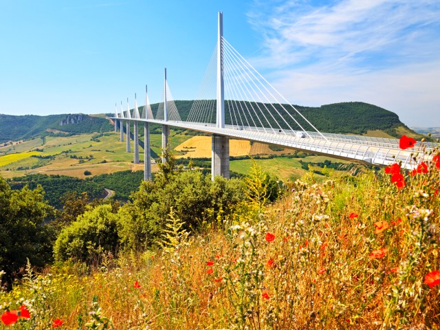 View of Millau Viaduct in France from flower-covered hillside