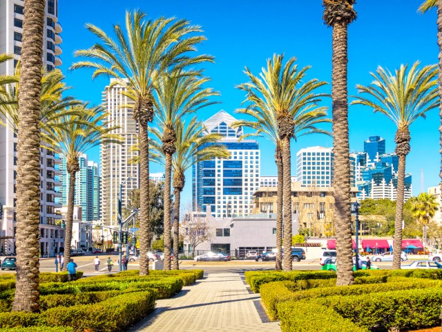 Palm trees in park with view of San Diego skyline