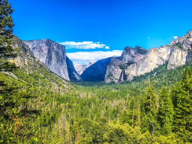 Tree-filled Yosemite Valley in California