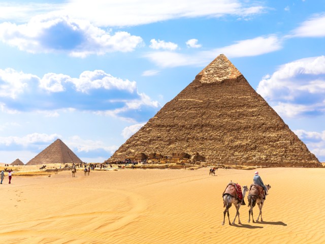 Camels and pyramids in Egypt