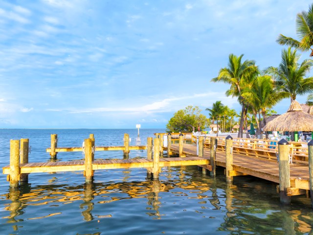 Dock lined with palm trees in Key West, Florida